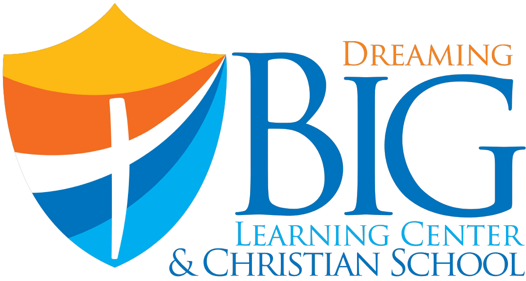 School Spirit Shirt- DBLC